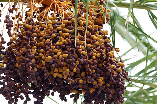 All About Dates