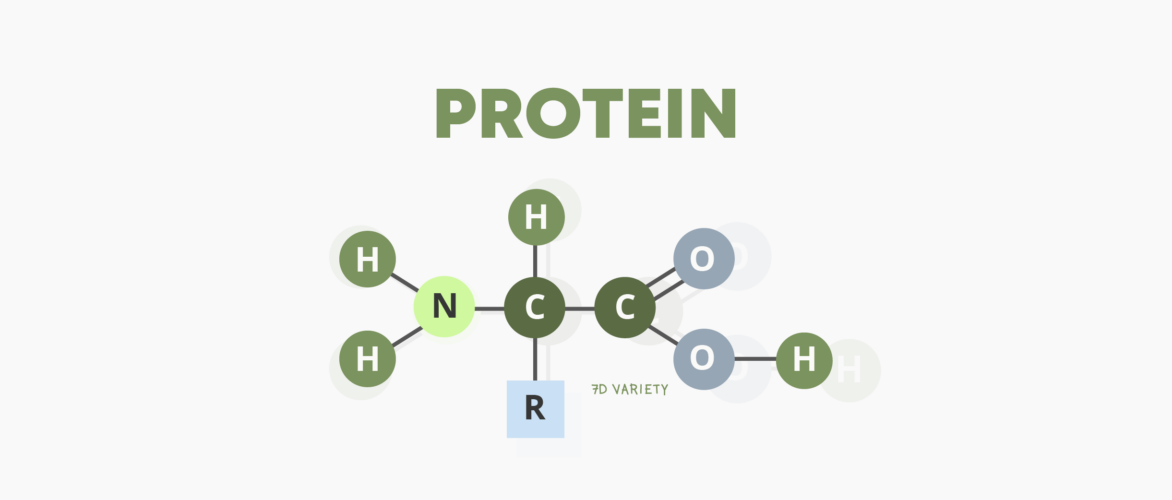 Protein chemical formula
