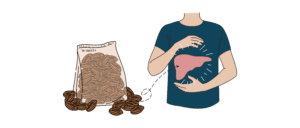 بذور التمر